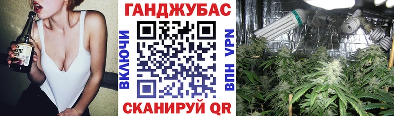 Купить наркотики Ядрин Марихуана Альфа ПВП ГАШ Меф мяу мяу