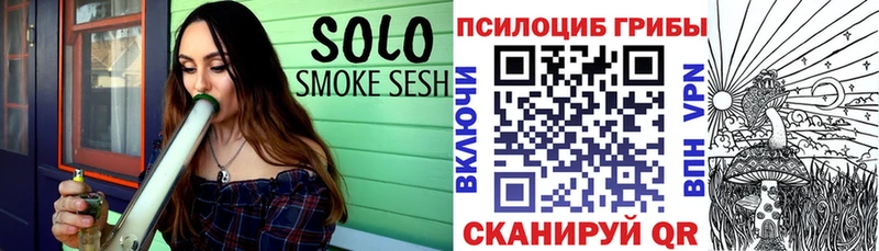 Галлюциногенные грибы Psilocybine cubensis  где купить наркоту  Ядрин 
